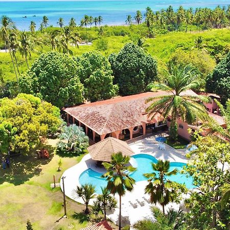 Eco Pousada Paraiso Dos Coqueirais Japaratinga Zewnętrze zdjęcie