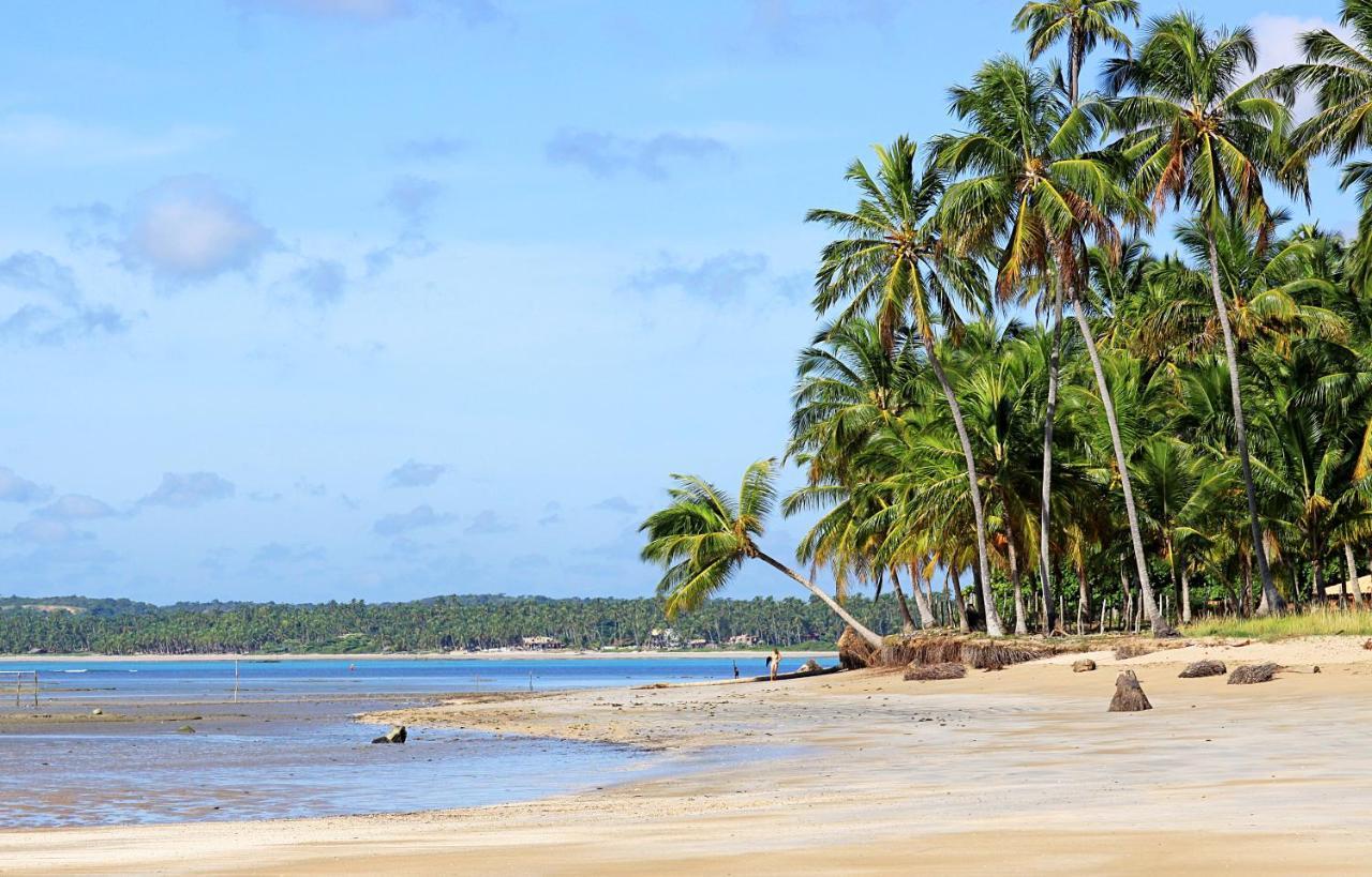 Eco Pousada Paraiso Dos Coqueirais Japaratinga Zewnętrze zdjęcie