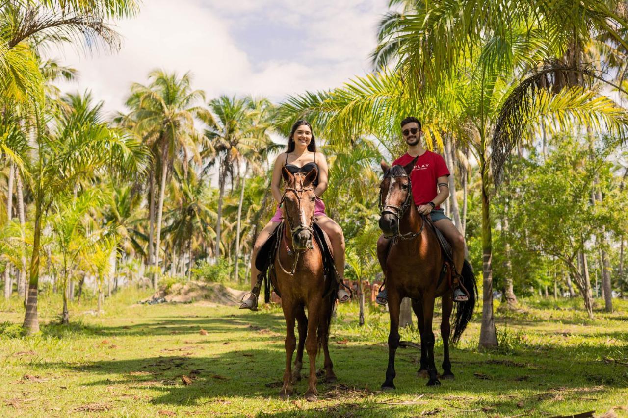 Eco Pousada Paraiso Dos Coqueirais Japaratinga Zewnętrze zdjęcie