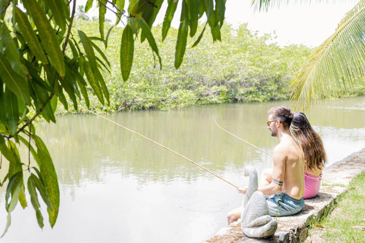 Eco Pousada Paraiso Dos Coqueirais Japaratinga Zewnętrze zdjęcie