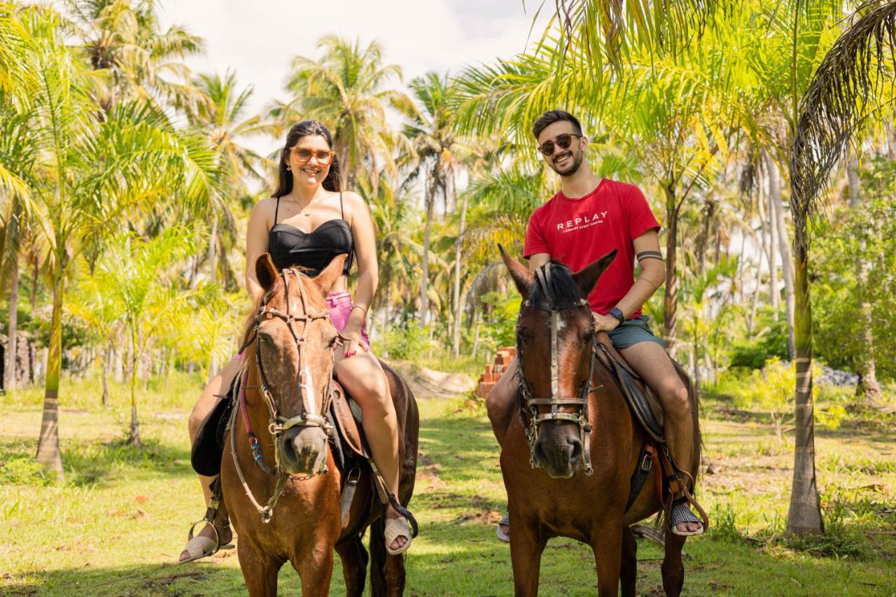 Eco Pousada Paraiso Dos Coqueirais Japaratinga Zewnętrze zdjęcie