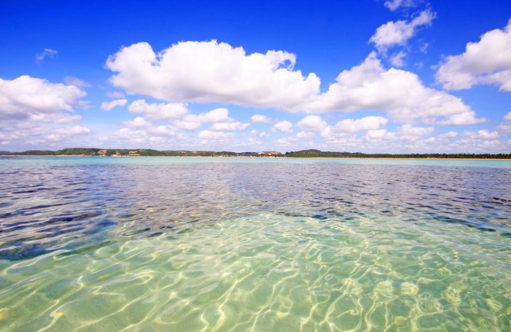 Eco Pousada Paraiso Dos Coqueirais Japaratinga Zewnętrze zdjęcie