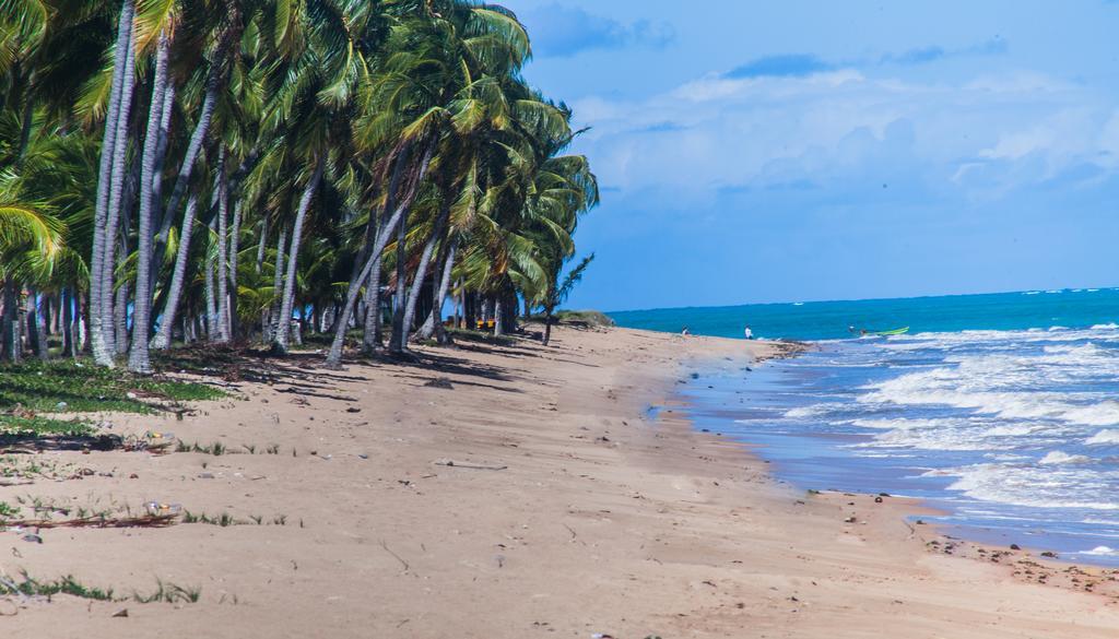Eco Pousada Paraiso Dos Coqueirais Japaratinga Zewnętrze zdjęcie