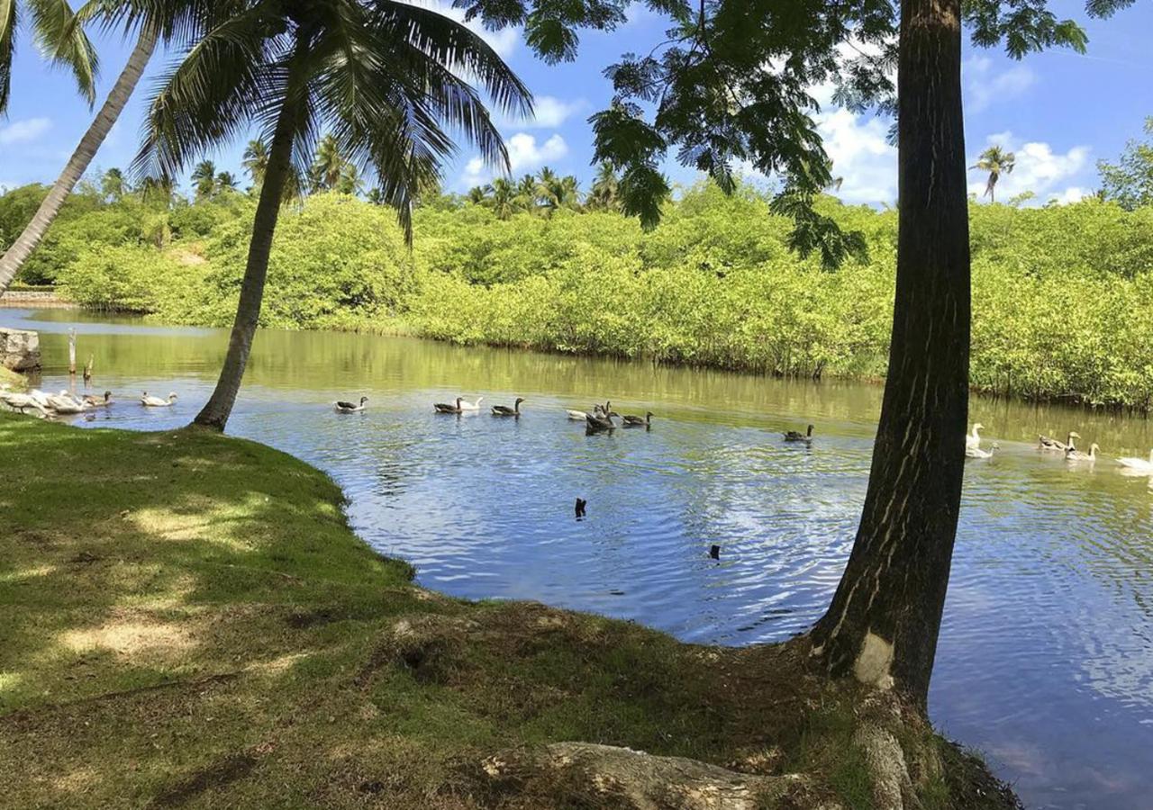 Eco Pousada Paraiso Dos Coqueirais Japaratinga Zewnętrze zdjęcie
