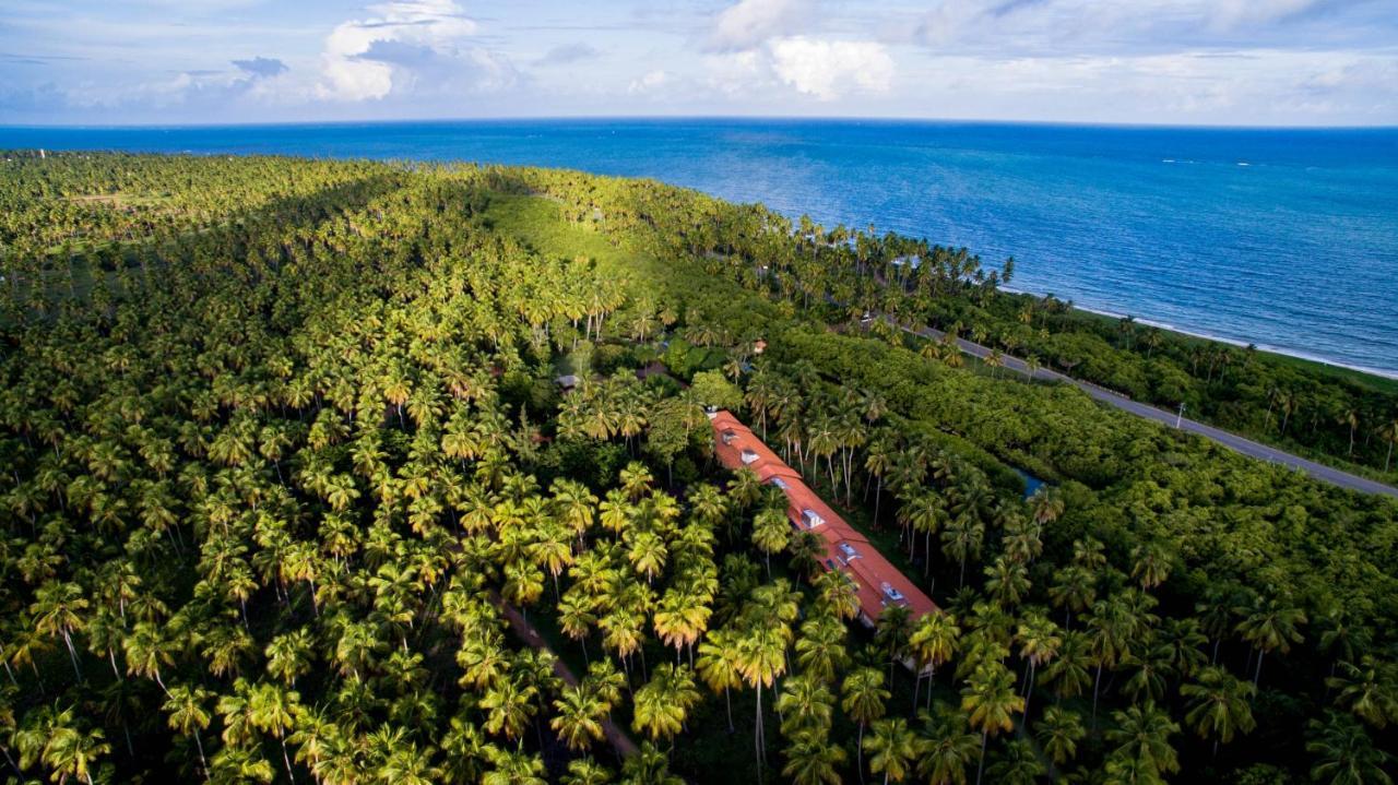Eco Pousada Paraiso Dos Coqueirais Japaratinga Zewnętrze zdjęcie