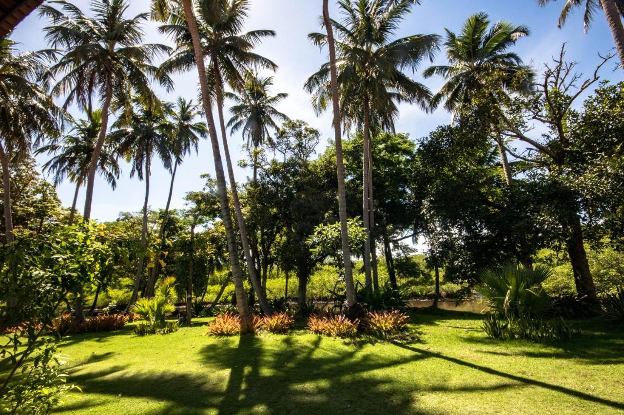Eco Pousada Paraiso Dos Coqueirais Japaratinga Zewnętrze zdjęcie