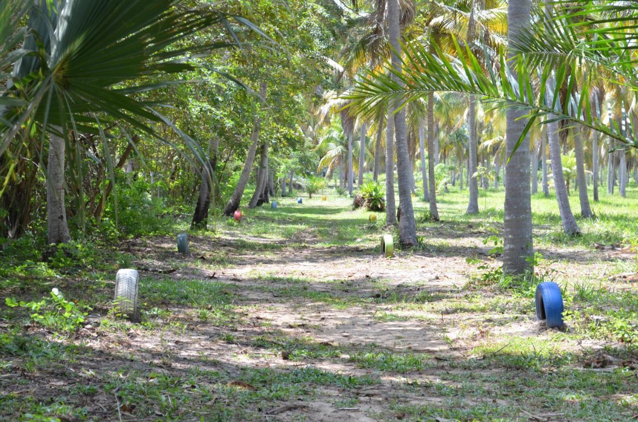 Eco Pousada Paraiso Dos Coqueirais Japaratinga Zewnętrze zdjęcie
